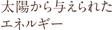 太陽から与えられたエネルギー