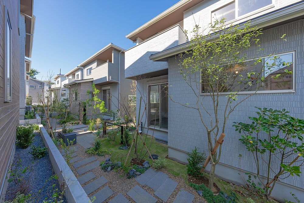 251107-045-A1_01767 のコピー.jpg