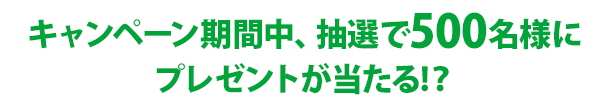 キャンペーン期間中、抽選で500名様にプレゼントが当たる!？