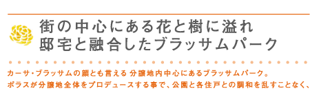 Casa Blossom 春日部・一ノ割